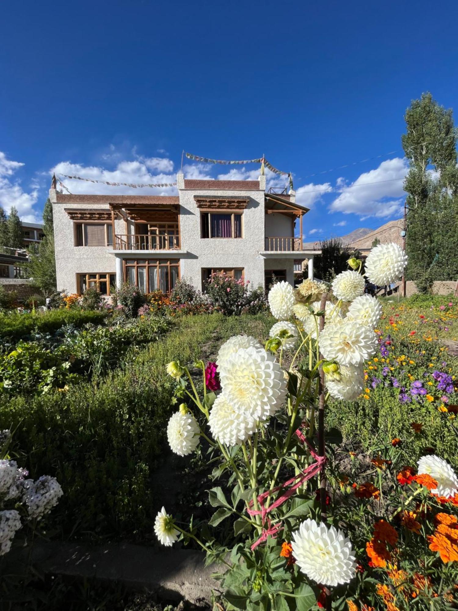 Chakzot Garden House Otel Leh Dış mekan fotoğraf