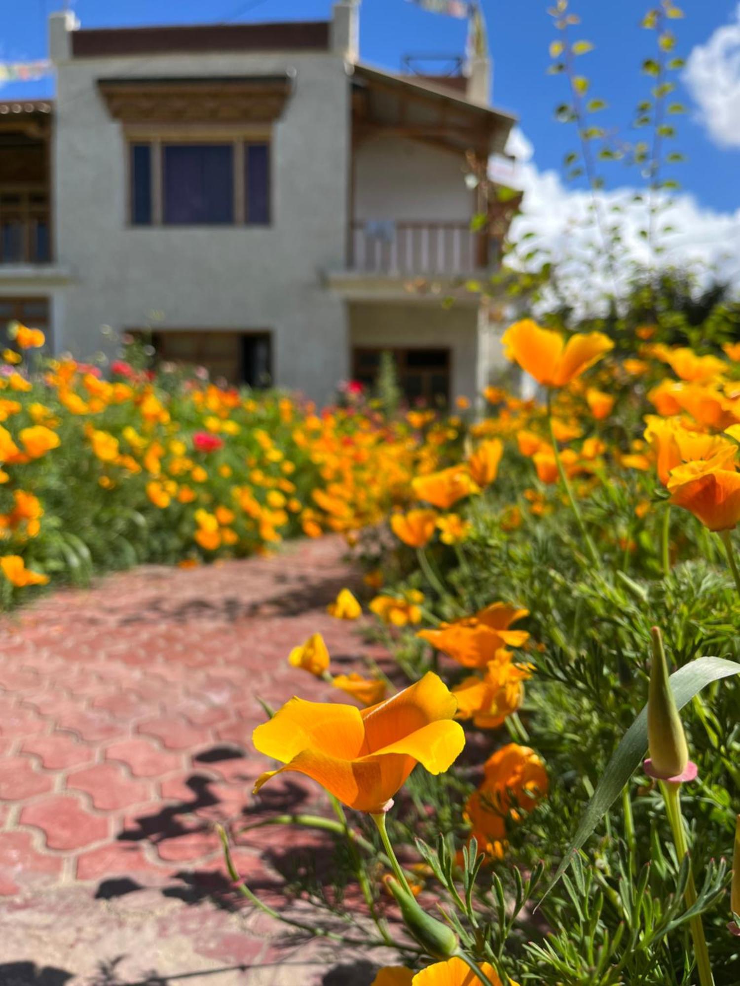 Chakzot Garden House Otel Leh Dış mekan fotoğraf